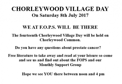 Chorleywood Village Day photograph